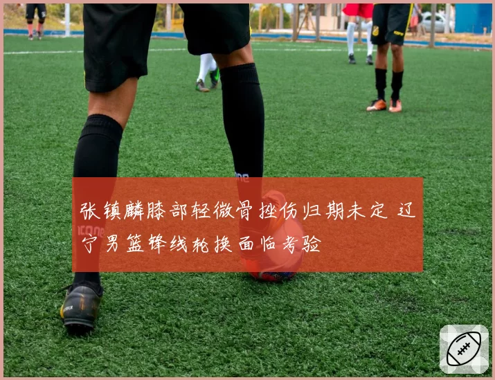 张镇麟膝部轻微骨挫伤归期未定 辽宁男篮锋线轮换面临考验