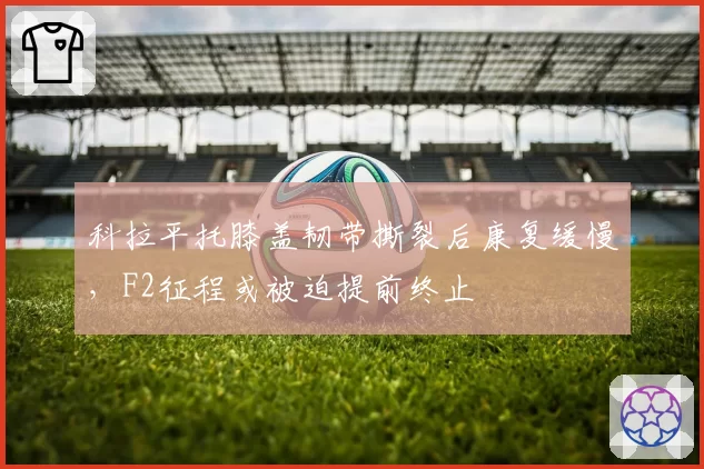 科拉平托膝盖韧带撕裂后康复缓慢，F2征程或被迫提前终止