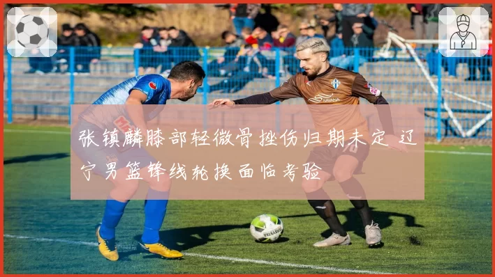 张镇麟膝部轻微骨挫伤归期未定 辽宁男篮锋线轮换面临考验