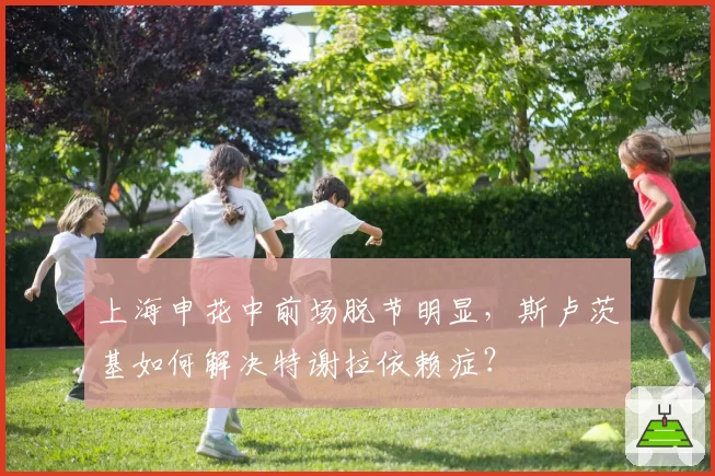上海申花中前场脱节明显，斯卢茨基如何解决特谢拉依赖症？