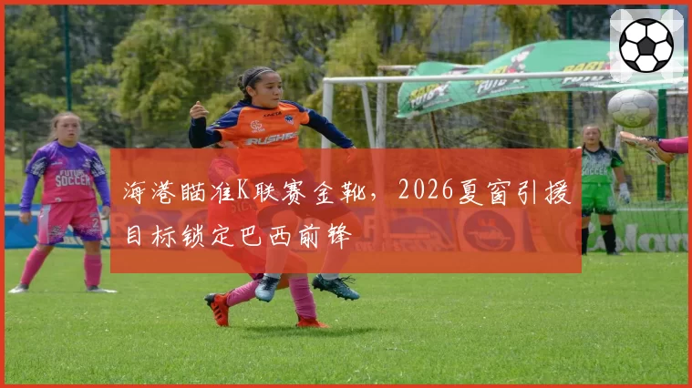 海港瞄准K联赛金靴,2026夏窗引援目标锁定巴西前锋