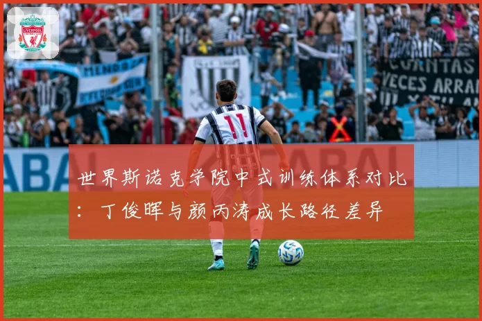 世界斯诺克学院中式训练体系对比：丁俊晖与颜丙涛成长路径差异